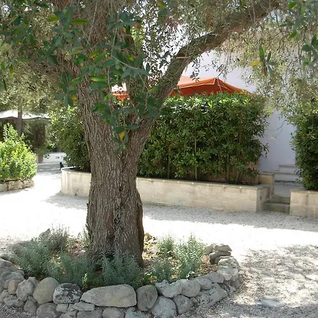 Tenuta Belvedere Otranto